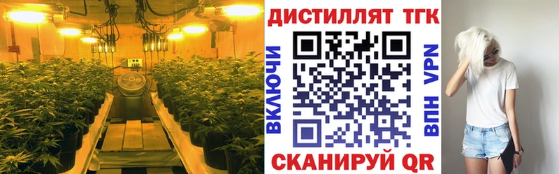 Купить где  Алексеевка  Дистиллят ТГК Wax 