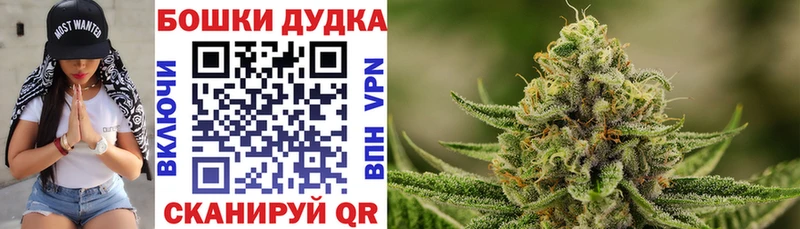 Канабис конопля  Купить где  Алексеевка 